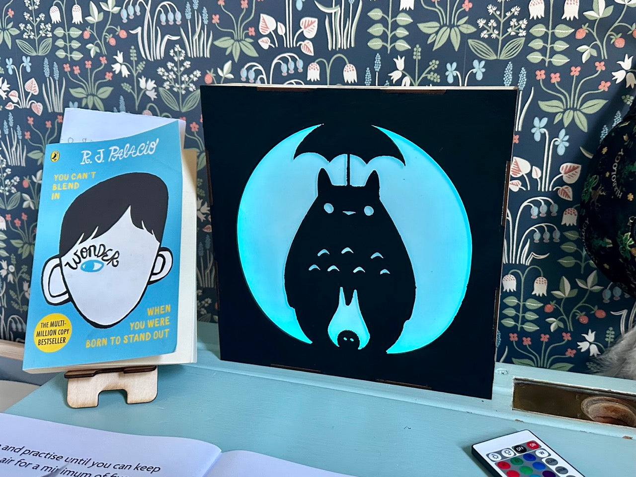 Custom Laser Light Box
